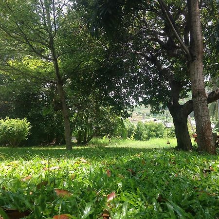 Cashew Nut Village Бопхут Экстерьер фото
